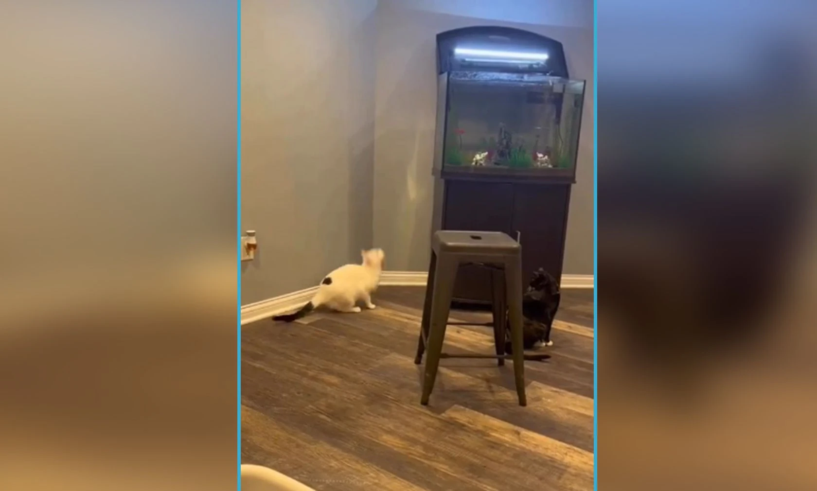 Tja, Übermut tut selten gut, nicht wahr? 