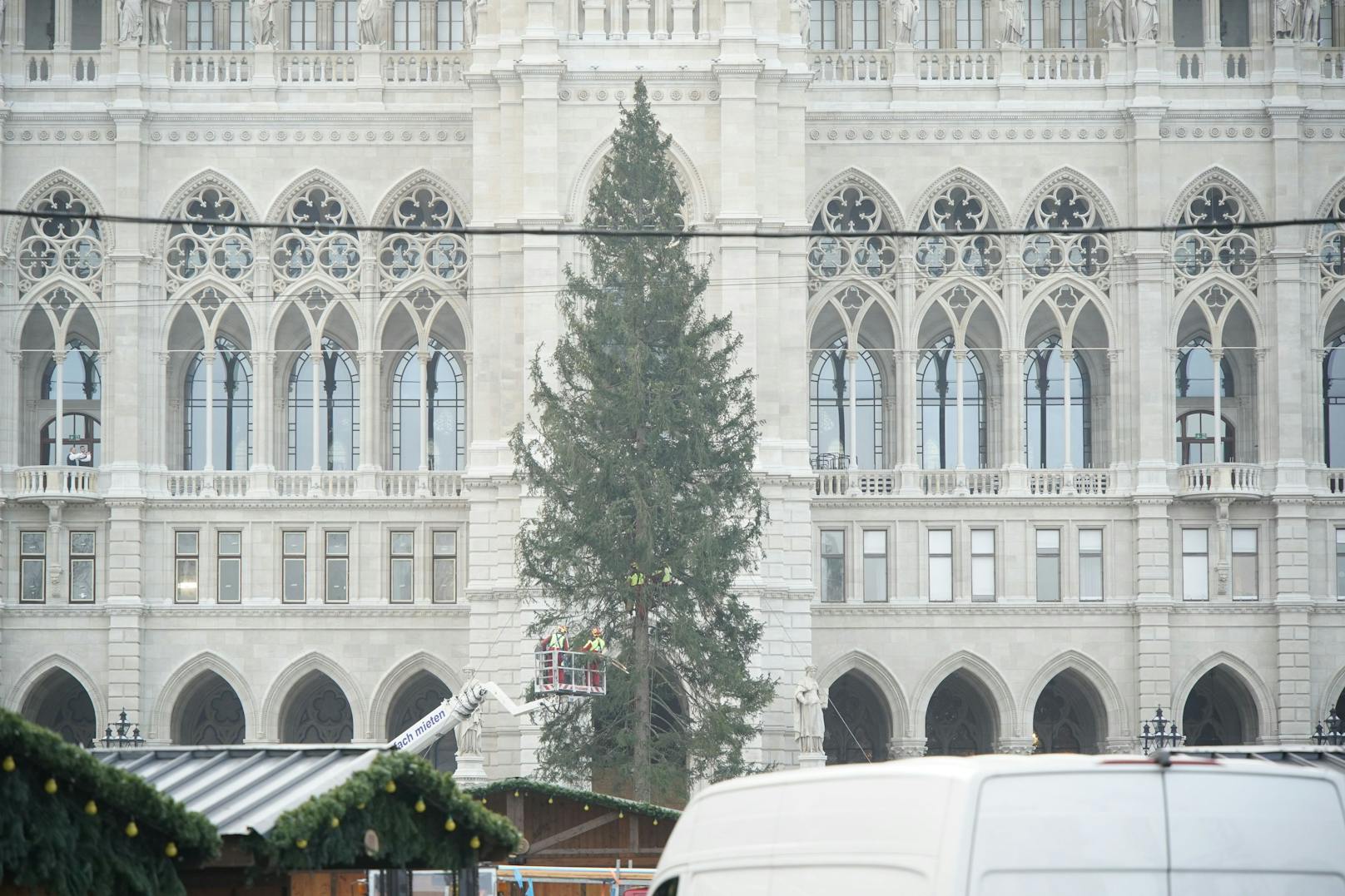 Mit zusätzlichen Ästen soll der Anblick des Christbaums am Rathausplatz verschönert werden