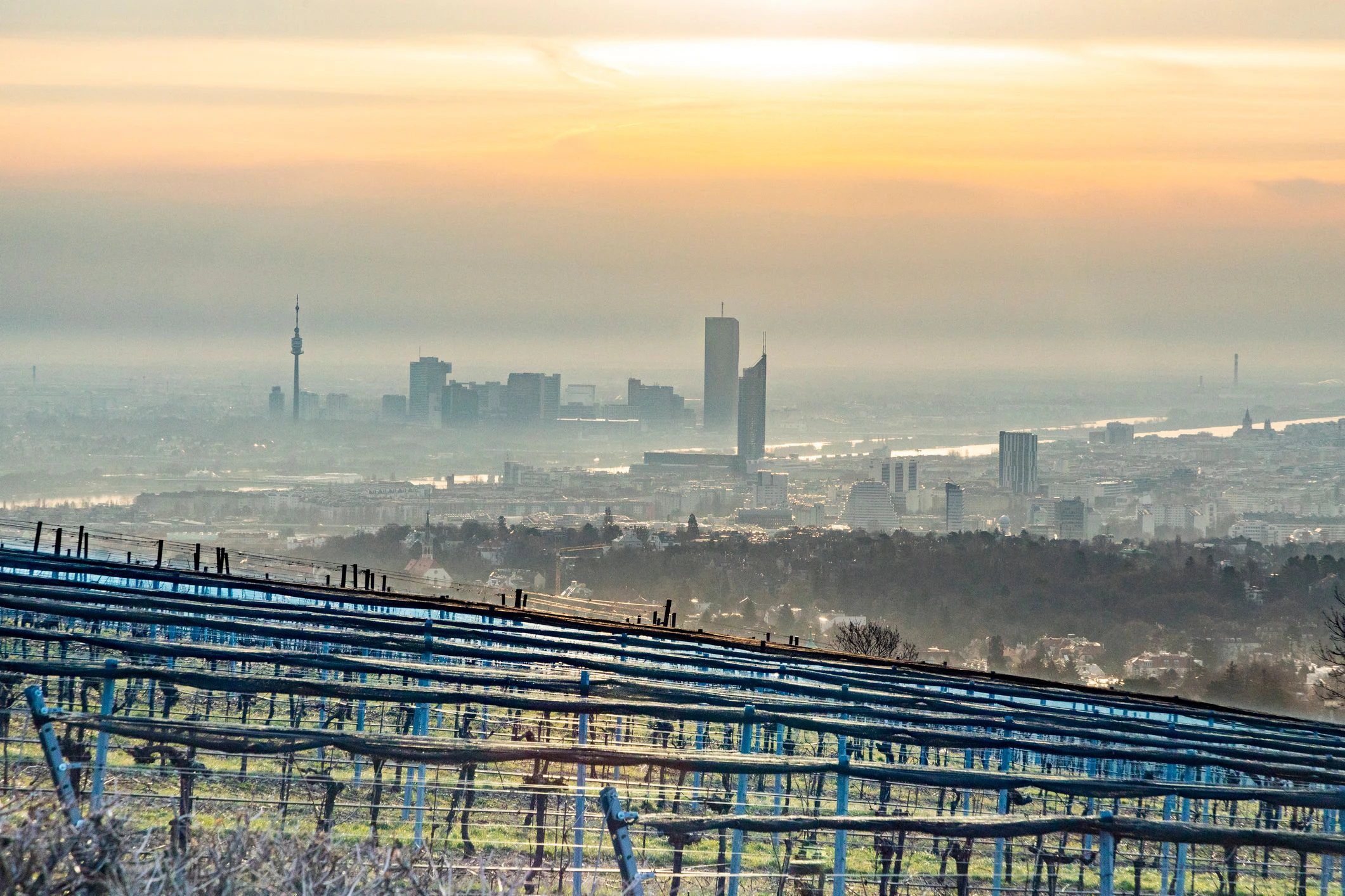 Sonnenaufgang über der nebelverhangenen Wiener Skyline. Symbolbild