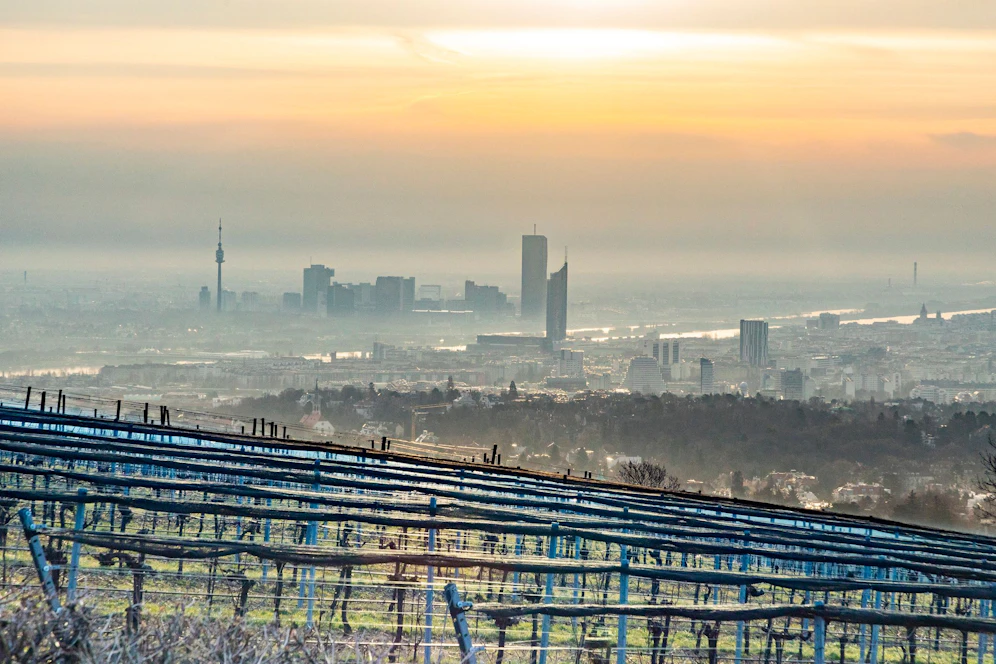 Sonnenaufgang über der nebelverhangenen Wiener Skyline. Symbolbild