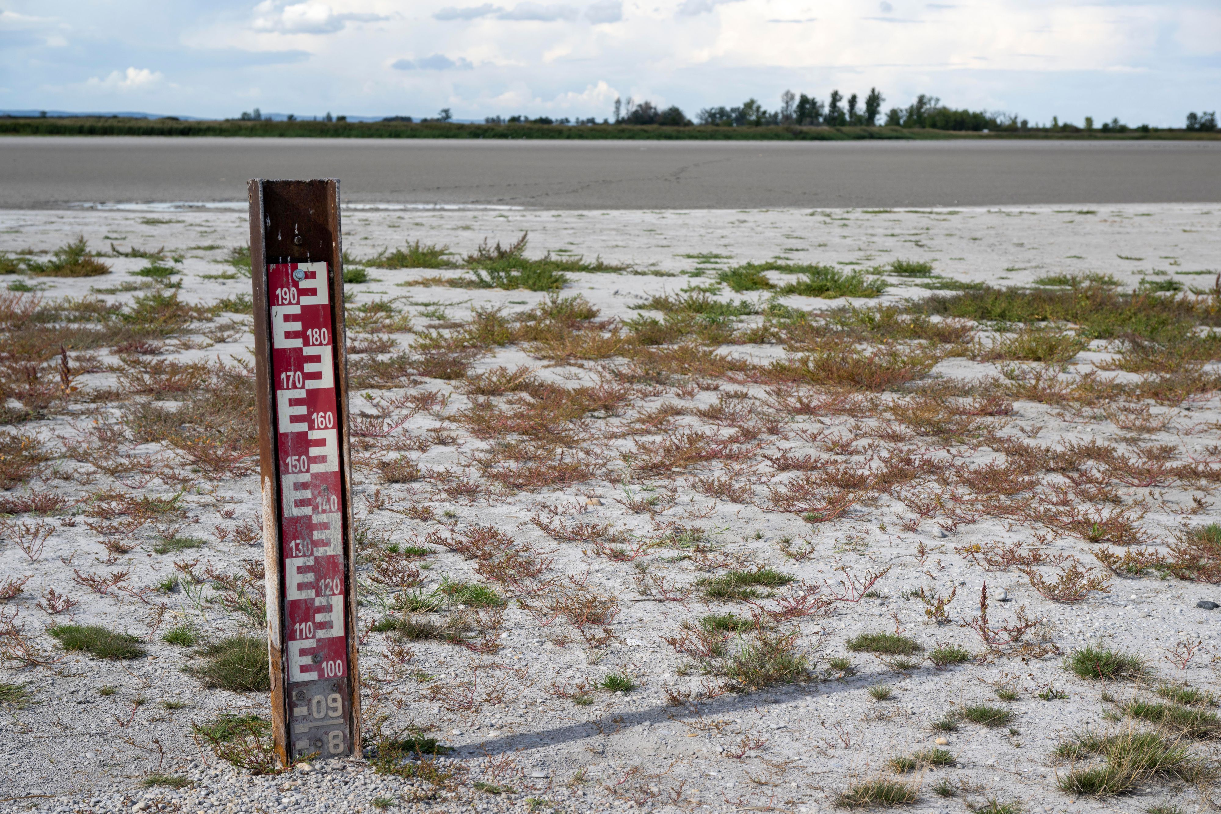 Verbrannte Wiesen, verschwundene Seen, auch in Österreich macht sich die Rekord-Hitze bemerkbar.