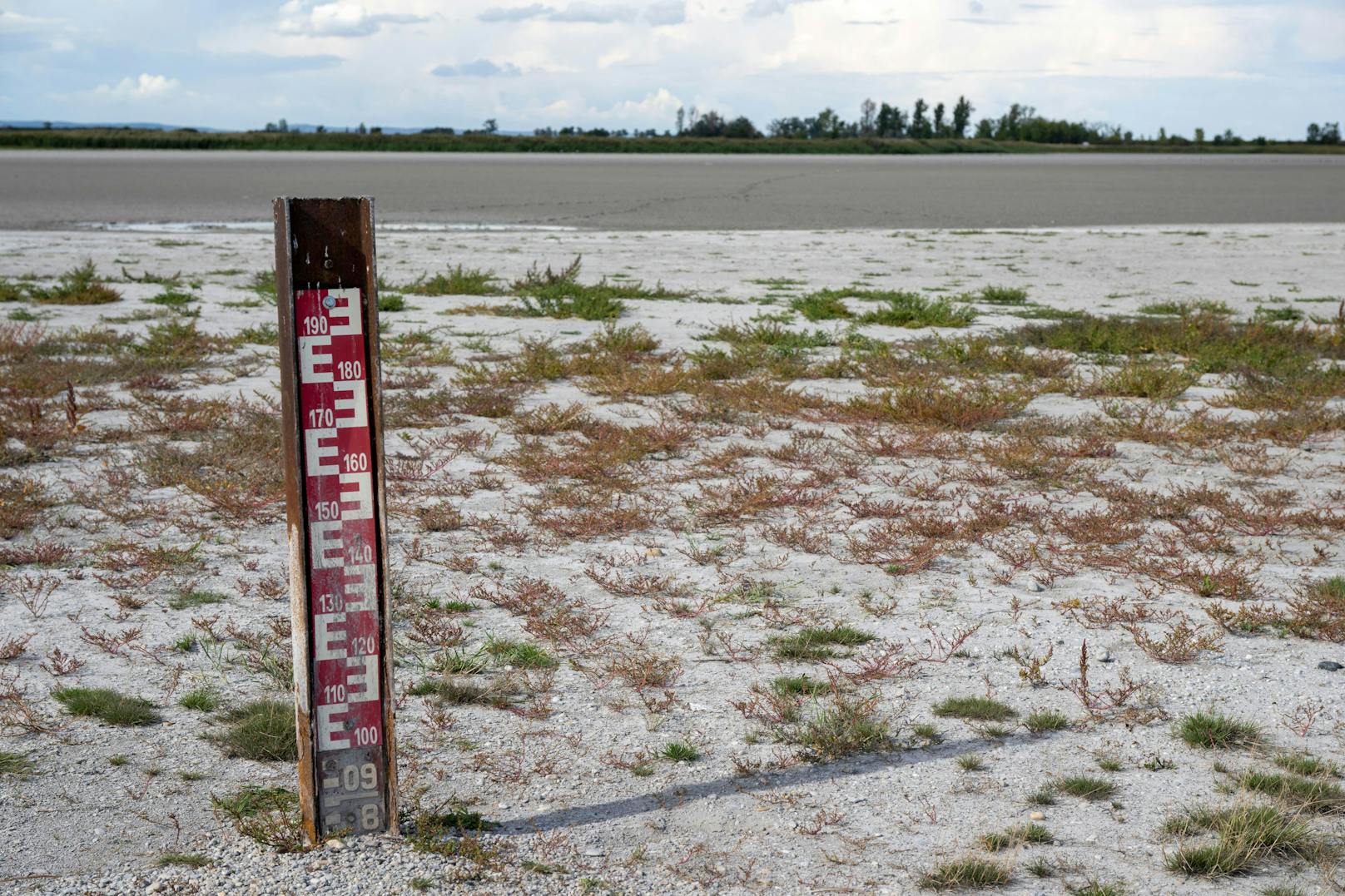 Verbrannte Wiesen, verschwundene Seen, auch in Österreich macht sich die Rekord-Hitze bemerkbar.