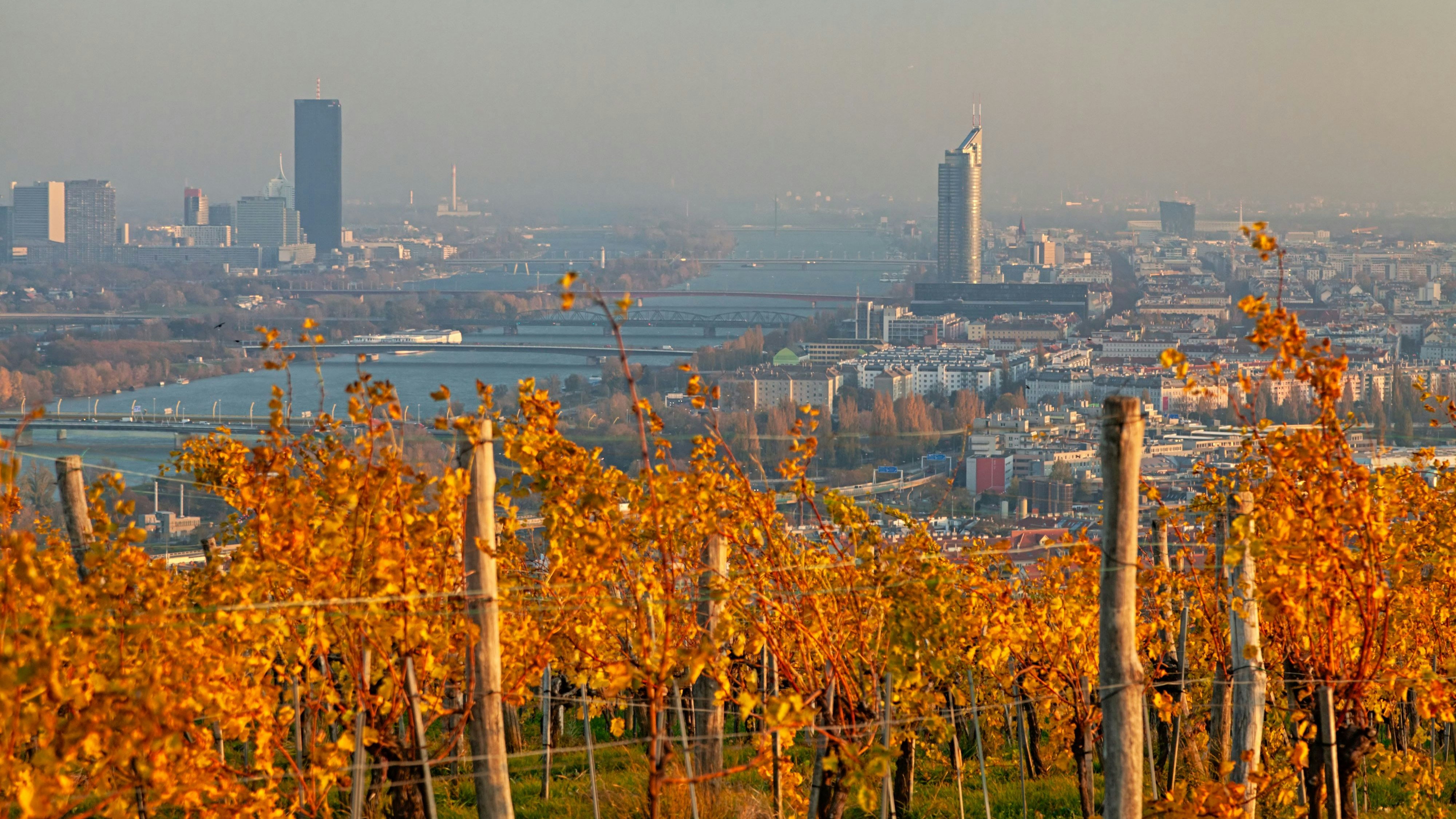 Der Hochnebel weicht auch in Wien in den nächsten Tagen dem Sonnenschein. 