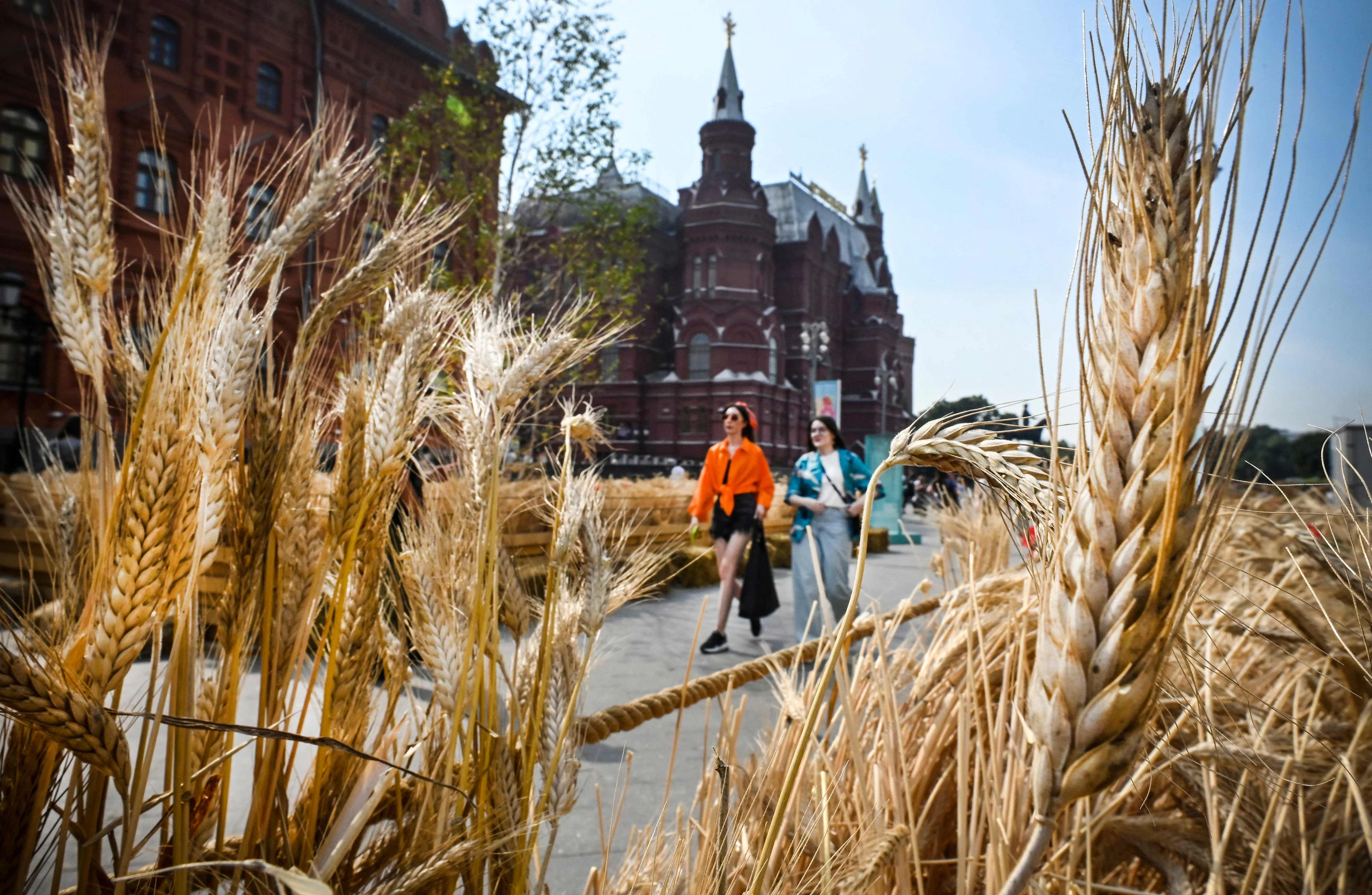 Download von www.picturedesk.com am 14.11.2022 (08:47).  Pedestrians walk past wheat ears art installation on the edge of the Red Square in central Moscow on August 27, 2022. - Wheat prices reached a peak of nearly 440 euros (440USD) a tonne on the European market in mid-May, double the level of one year ago, as crucial Ukrainian shipments were stuck at port due to a Russian naval blockade in the Black Sea, but prices have fallen to around 300 euros in August. Kyiv and Moscow reached an agreement in July, brokered by the United Nations and Turkey, that allowed Ukraine to resume grain shipments in the Black Sea. According to the Joint Coordination Centre which manages the sea corridor, more than 720,000 tonnes have already left Ukraine. (Photo by Alexander NEMENOV / AFP) - 20220827_PD1468 - Rechteinfo: Rights Managed (RM) Nur für redaktionelle Nutzung! Werbliche Nutzung erfordert Freigabe: bitte schicken Sie uns eine Anfrage.
