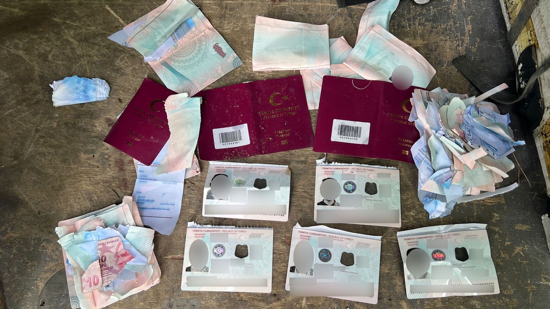 Den skurrilen Fund machte ein Burgenländer am Freitag.