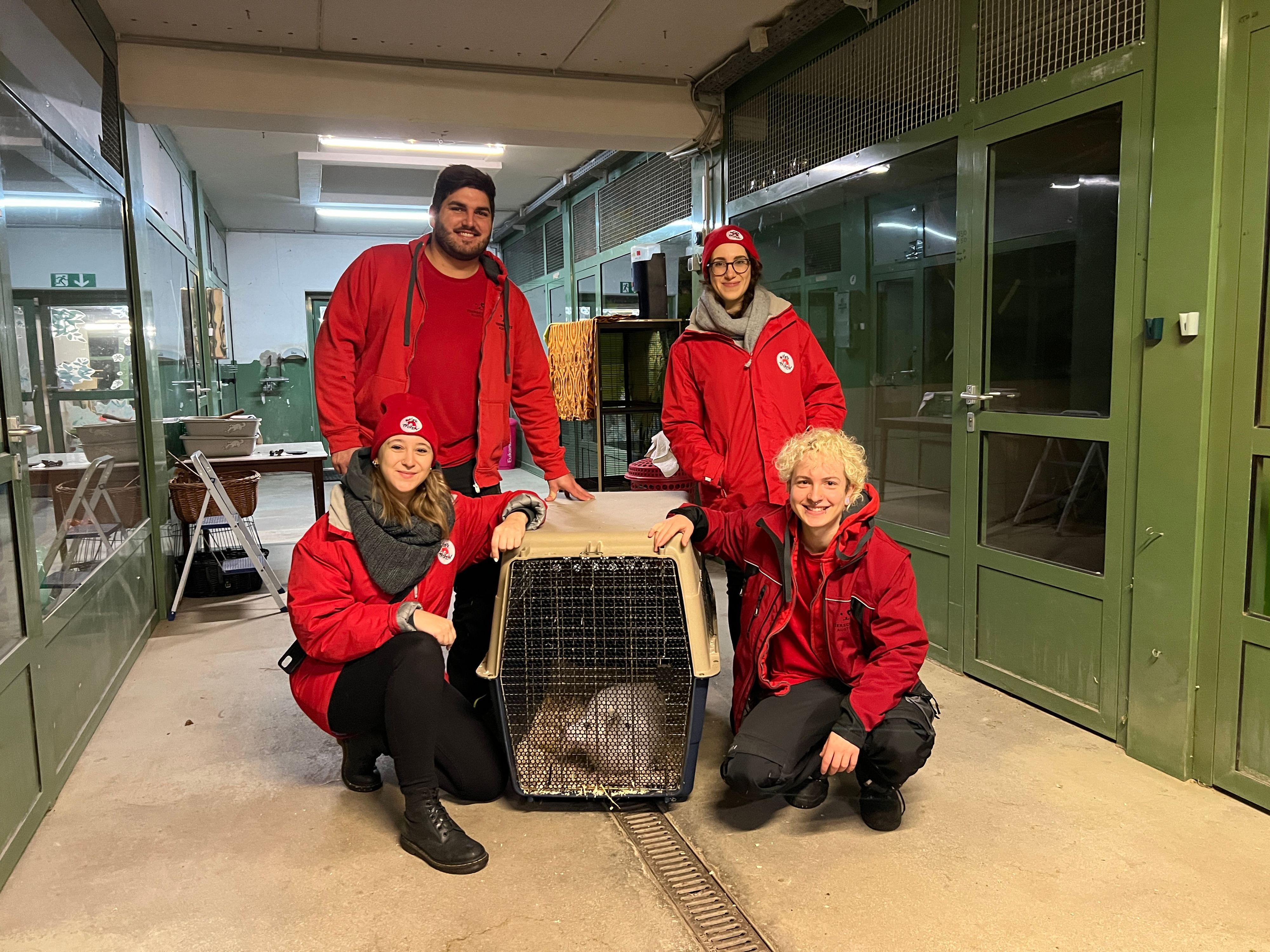 Heute hat man vom kleinen Polarfuchs 