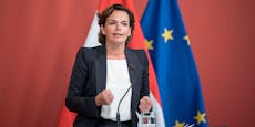 Rendi-Wagner will Nulllohn-Runde für Spitzenpolitiker