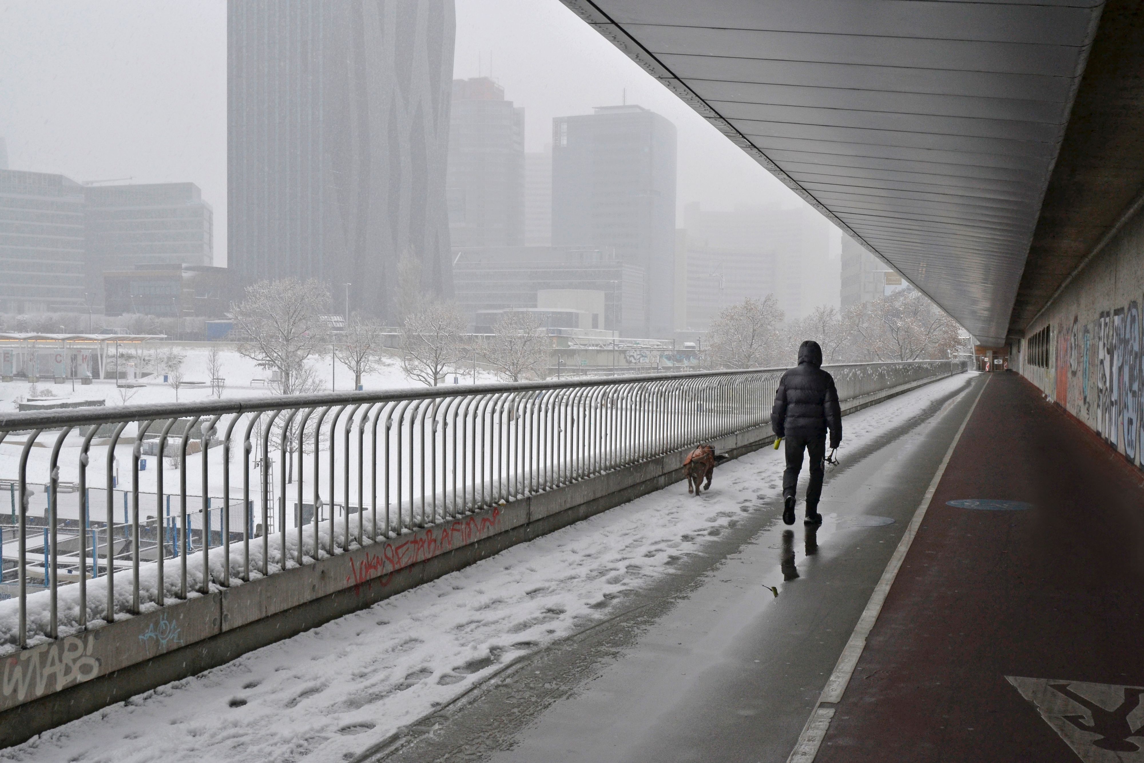 Wintereinbruch: der erste Schnee in Wien. Symbolbild
