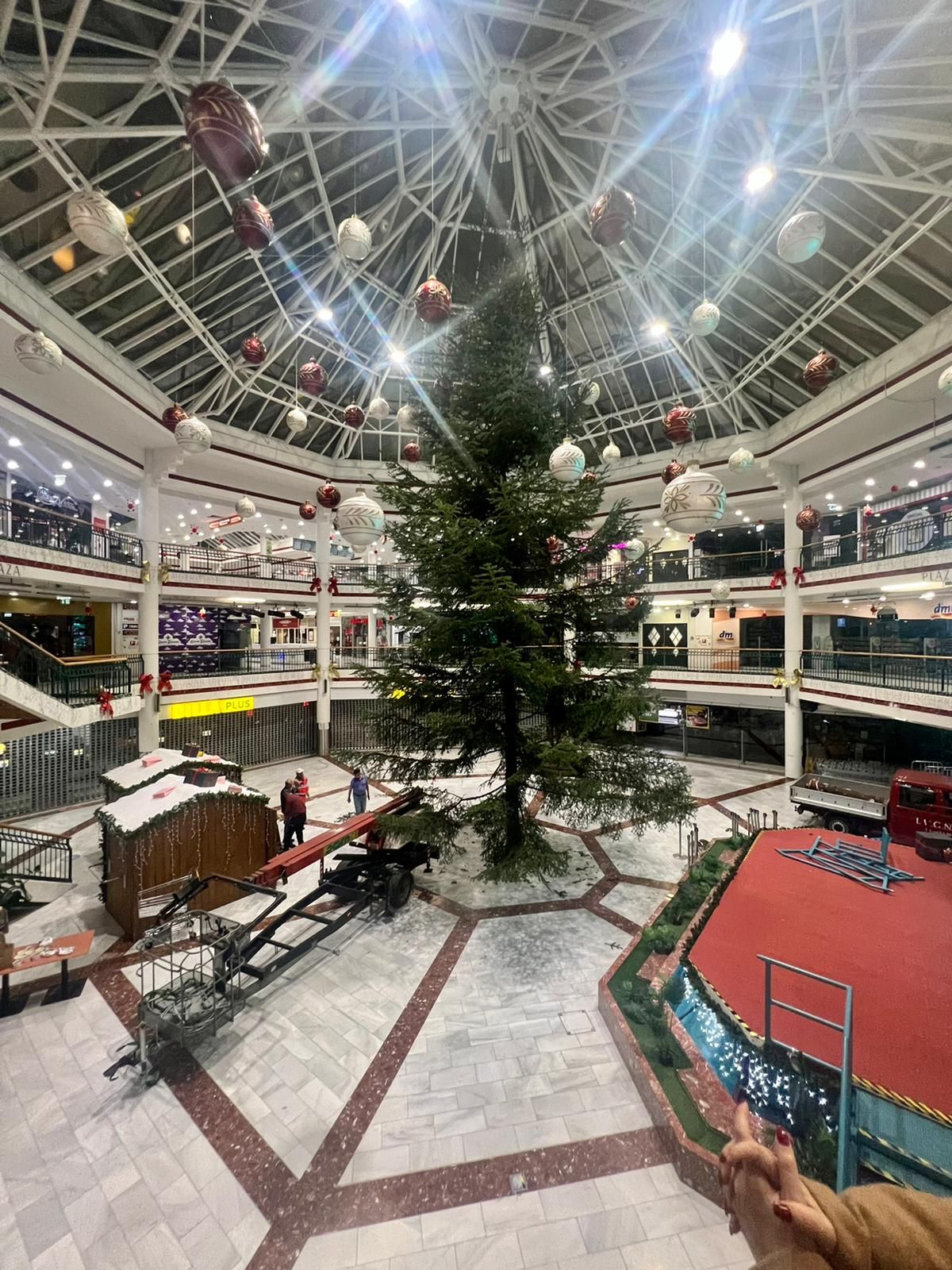 Die Tanne steht bereits in der Lugner City