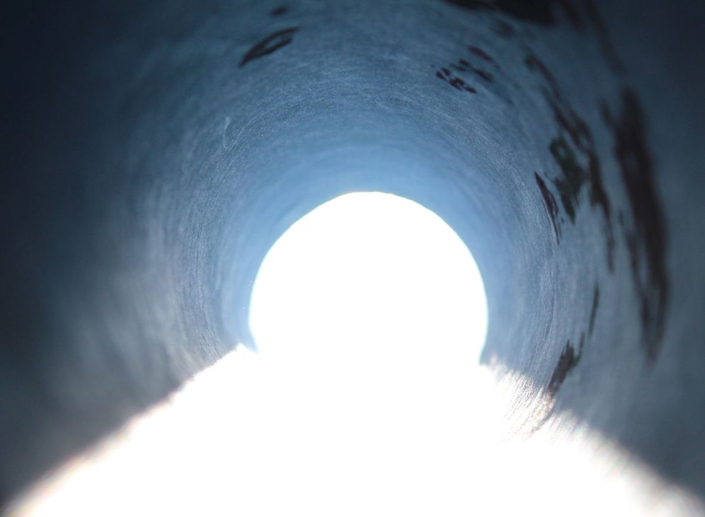 Einige der wiederbelebten Studienteilnehmer sprachen davon, dass sie 