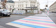 Trans*Zebrastreifen bringt Wiener FPÖ zum Schäumen