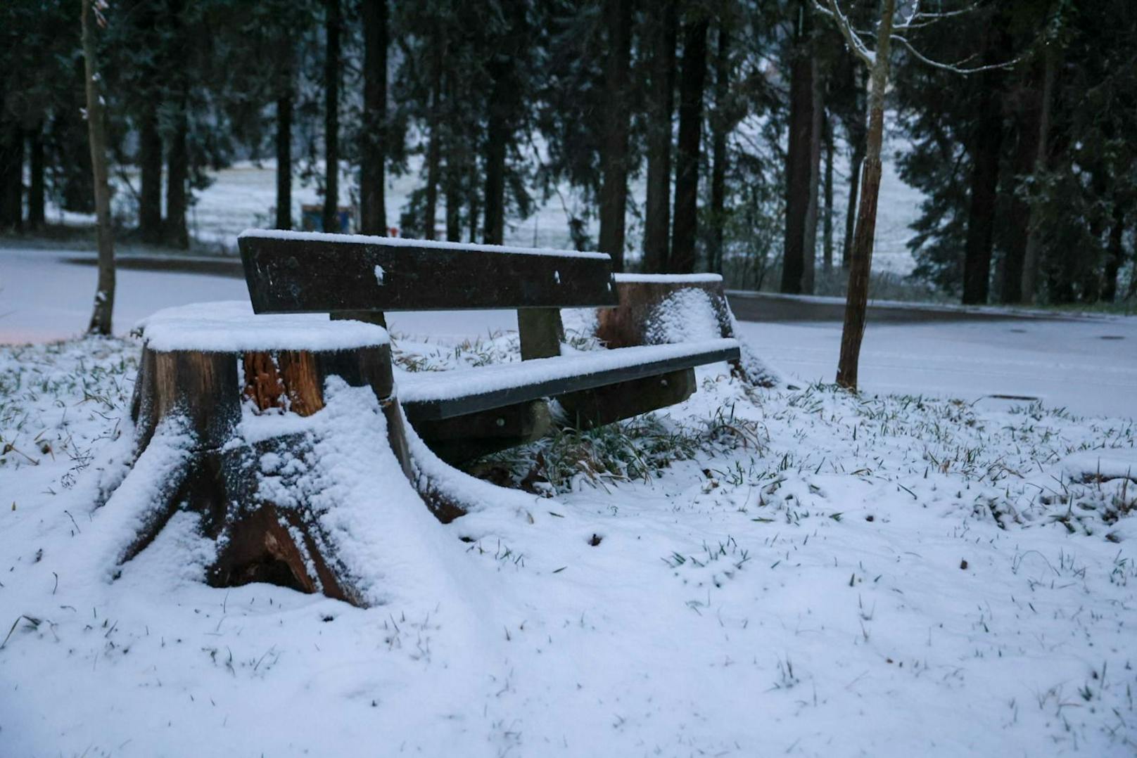Mehr Schnee fiel in Oberösterreich: Auch das Mühlviertel war weiß.