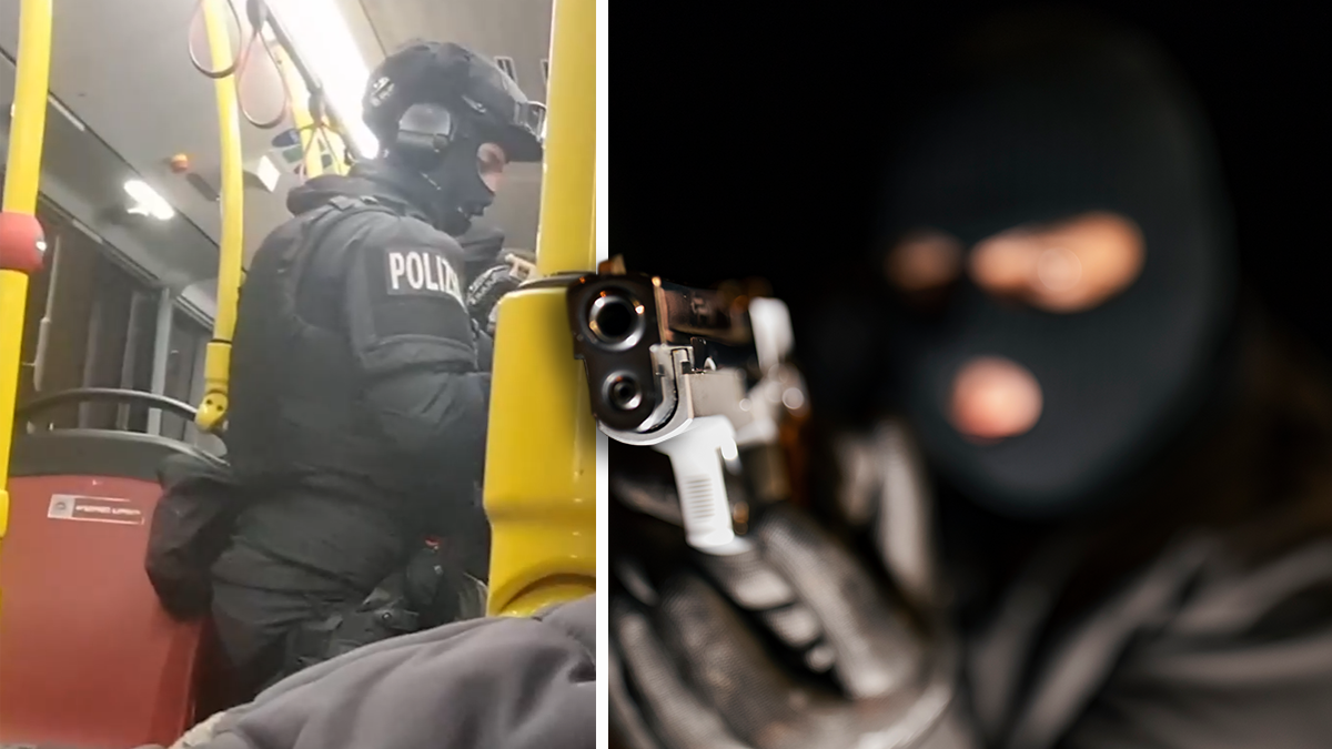 Eine brutale Raubserie schockte in den frühen Stunden des 19. November 2022 Wien. Die WEGA rückte aus.