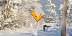 Rekord-Schneesturm schockt USA – es gibt mehrere Tote