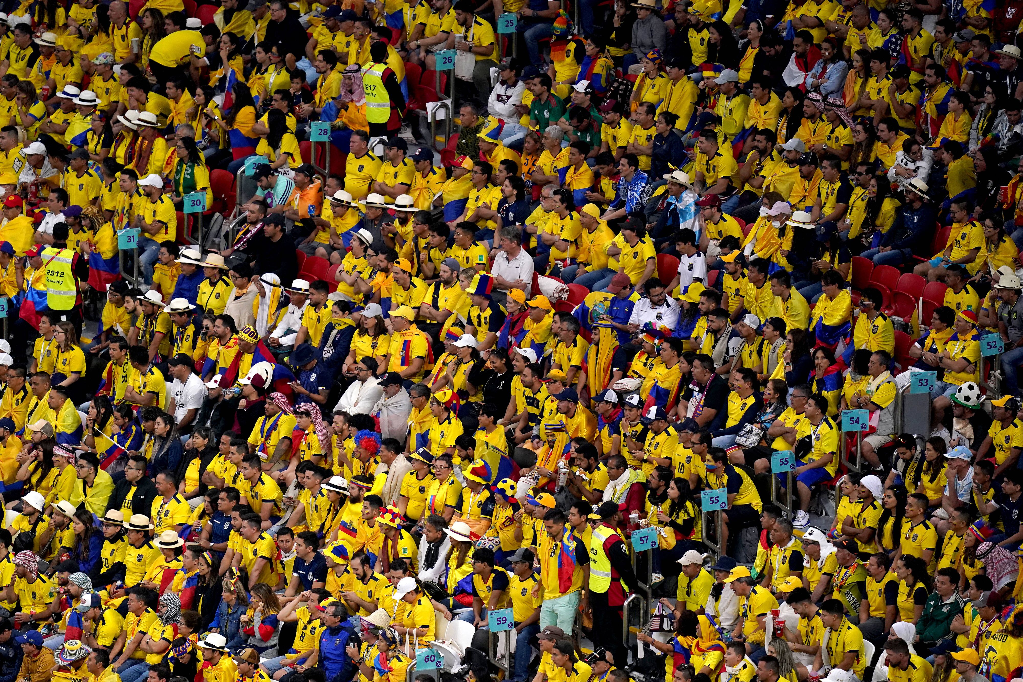Die Ecuador-Fans fordern eine Erfrischung.