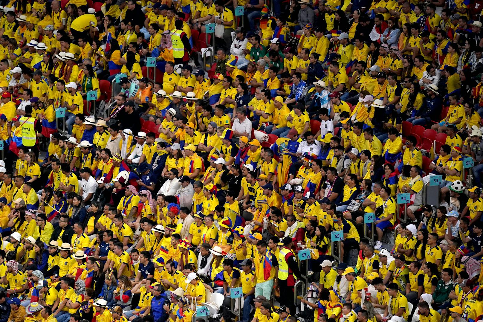 Die Ecuador-Fans fordern eine Erfrischung.