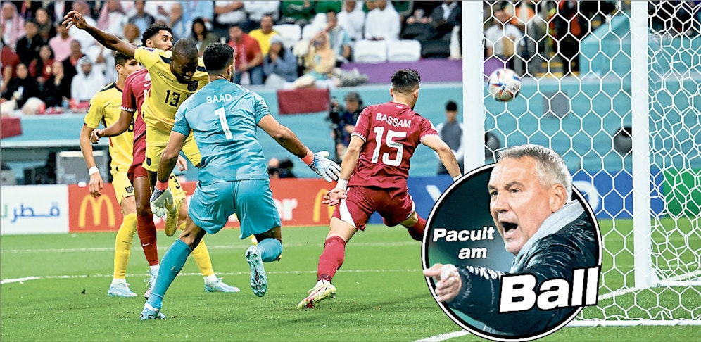 Pacult: 