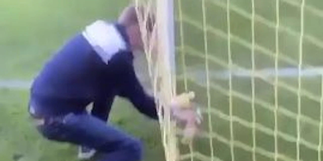 Sängerin Pinkelt Fan Ins Gesicht Fussball – Fan pinkelt in Flasche, Goalie trinkt und sieht Rot | Heute.at