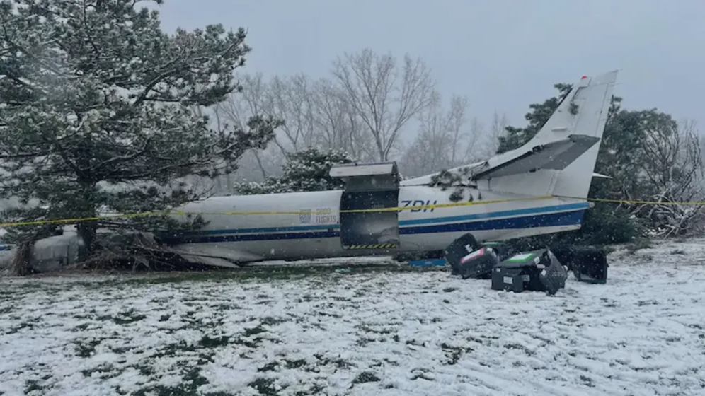 Dieses Flugzeug stürzte mit 53 Hunden und drei Menschen ab.