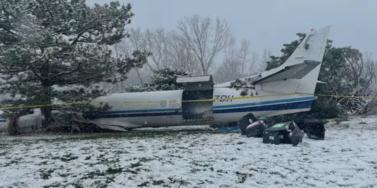 53 Hunde überleben Flugzeugabsturz Heute.at