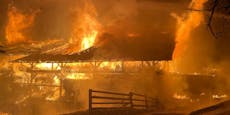 Familie in letzter Sekunde aus Flammen-Inferno gerettet
