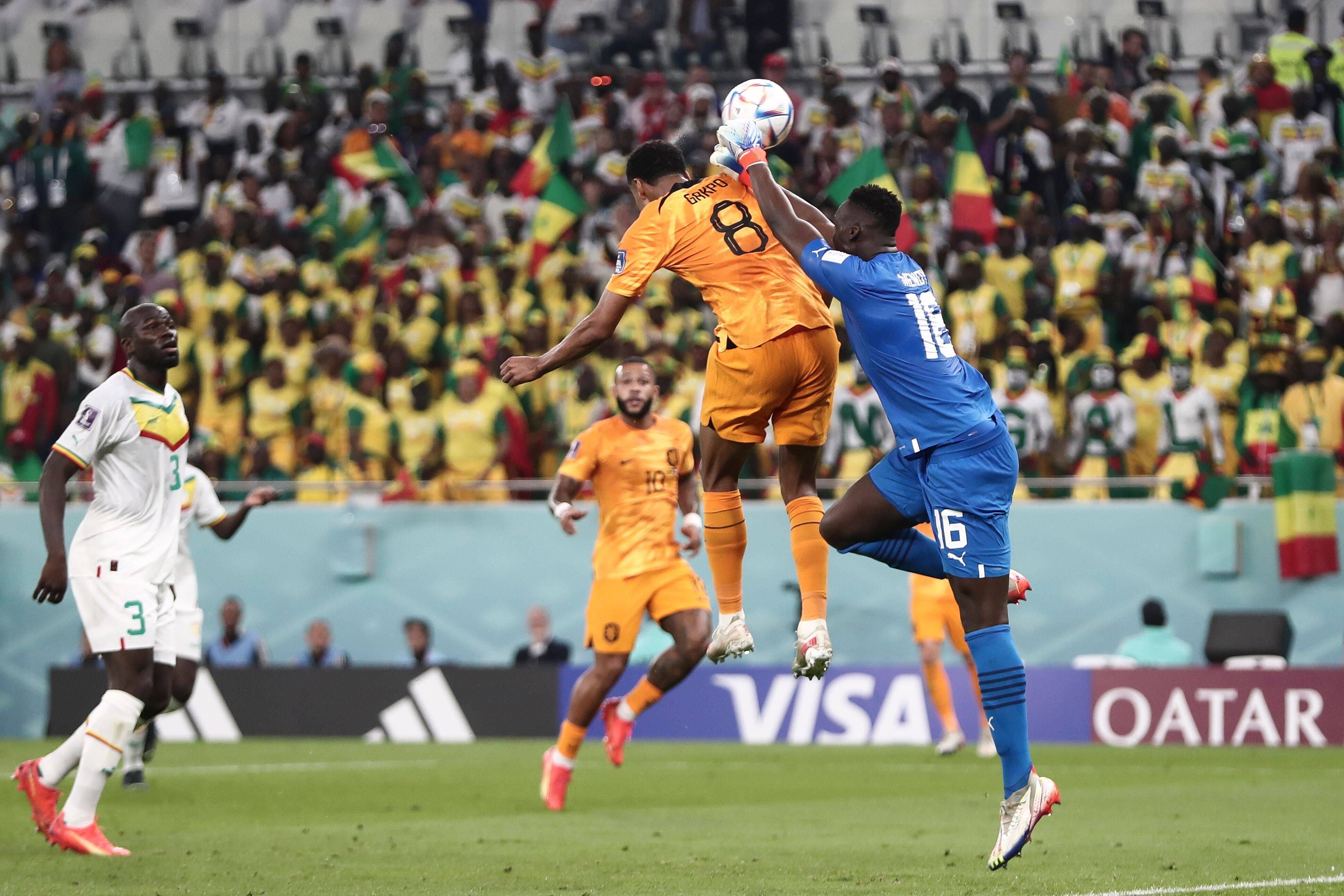 Hier köpft Cody Gakpo die Niederlande zum Sieg.