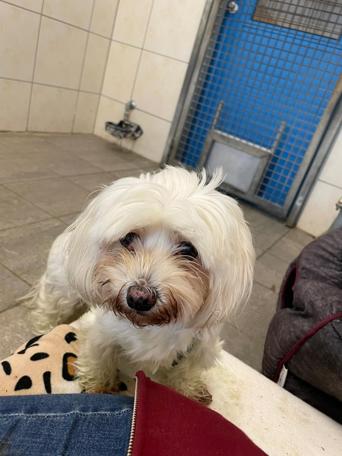 "Lilibet" nach ihrem Friseurbesuch.