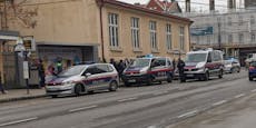 Wienerinnen prügeln sich auf offener Straße – Festnahme