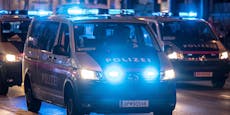 Nächtliche Gewalt-Welle hält Wiener Polizei in Atem