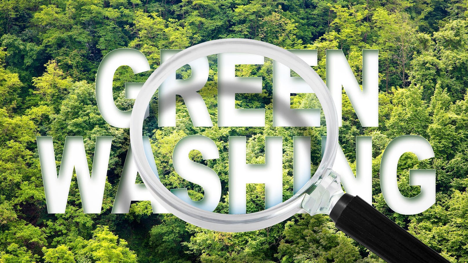 Greenwashing-Gefahr: CO₂-Zertifikate helfen Klima nicht