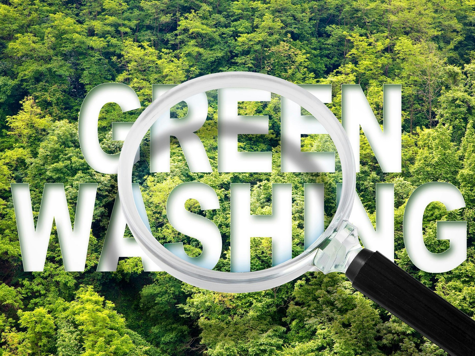 Alert to Greenwashing - concept with text against a forest and trees and magnifying glass