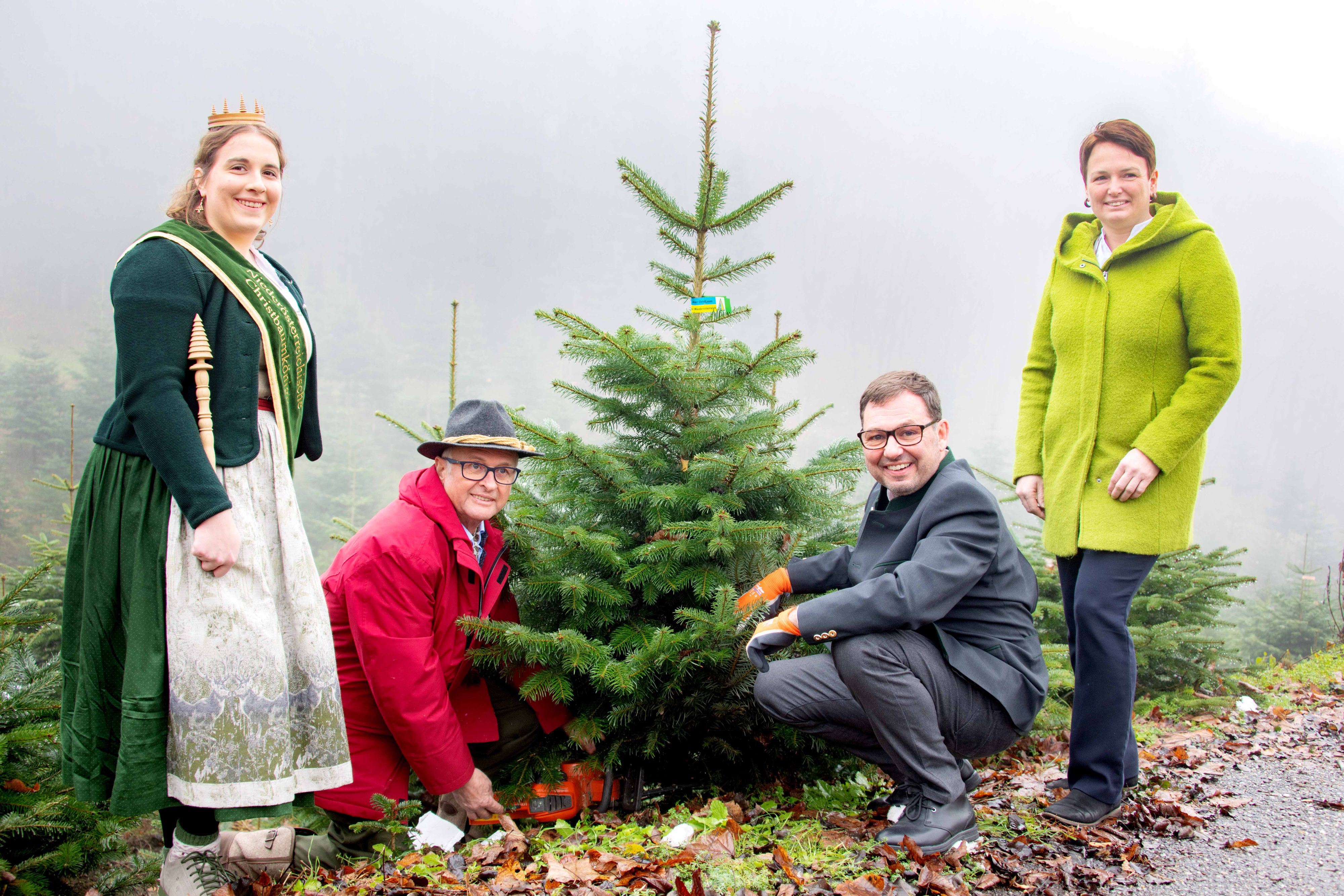 Christbaumkönigin Ricarda Reithner, ARGE NÖ Christbaumbauern-Obmann Franz Raith, ORF-Landesdirektor Robert Ziegler und Landwirtschaftskammer NÖ-Vizepräsidentin Andrea Wagner.