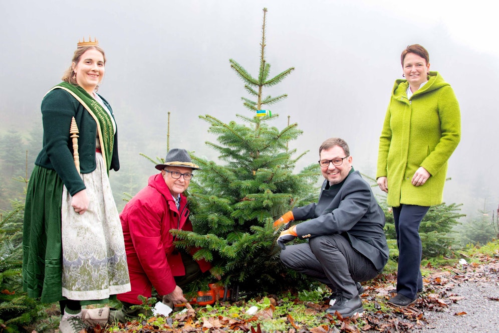 Christbaumkönigin Ricarda Reithner, ARGE NÖ Christbaumbauern-Obmann Franz Raith, ORF-Landesdirektor Robert Ziegler und Landwirtschaftskammer NÖ-Vizepräsidentin Andrea Wagner.
