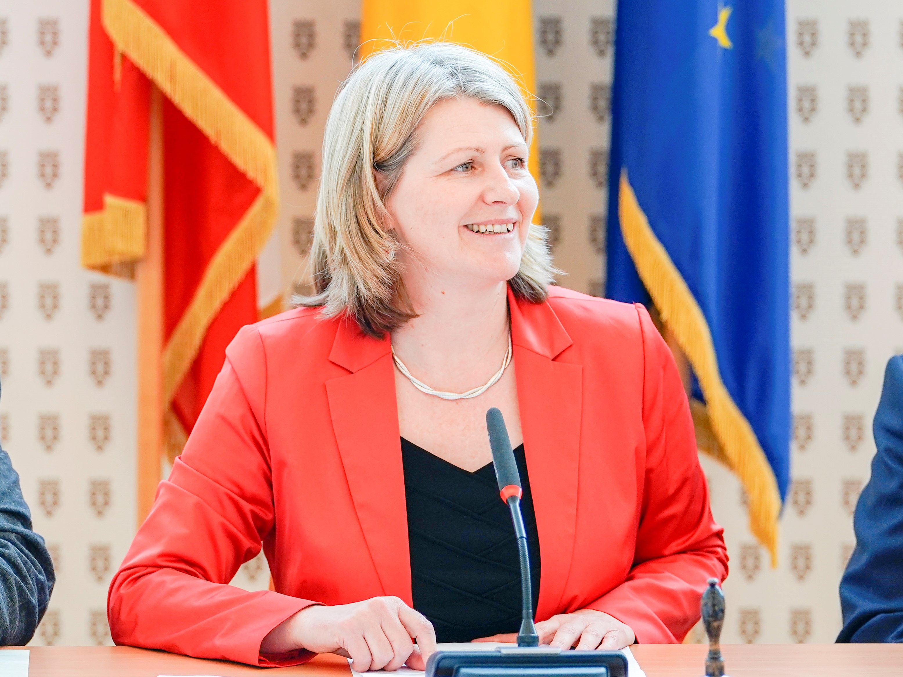 SP-Gesundheitssprecherin Karin Scheele 