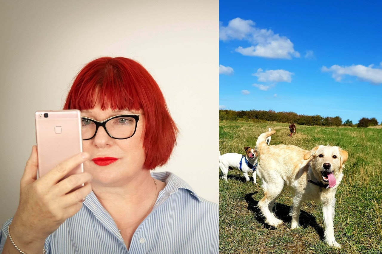 Heute.at - Frau muss mit Hunden Umwege gehen – der Grund erstaunt