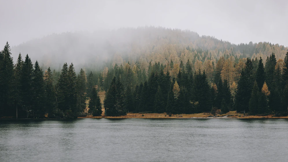 Regen und Nebel am Prebersee. Symbolbild 