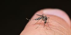 Koma, Amputation – Mückenstich kostet Mann fast Leben
