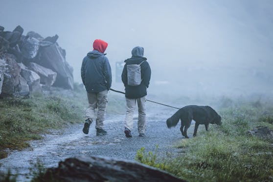 Ein Paar spaziert im Nebel mit Hund im Bereich der Großglockner Hochalpenstraße.