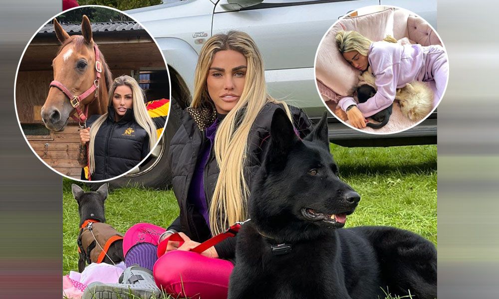 Sechs Tiere sind in der Vergangenheit gestorben. Auf Instagram zeigt sich Katie Price regelmäßig mit ihren Tieren.