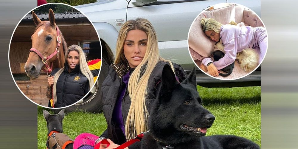 Sechs Tiere sind in der Vergangenheit gestorben. Auf Instagram zeigt sich Katie Price regelmäßig mit ihren Tieren.