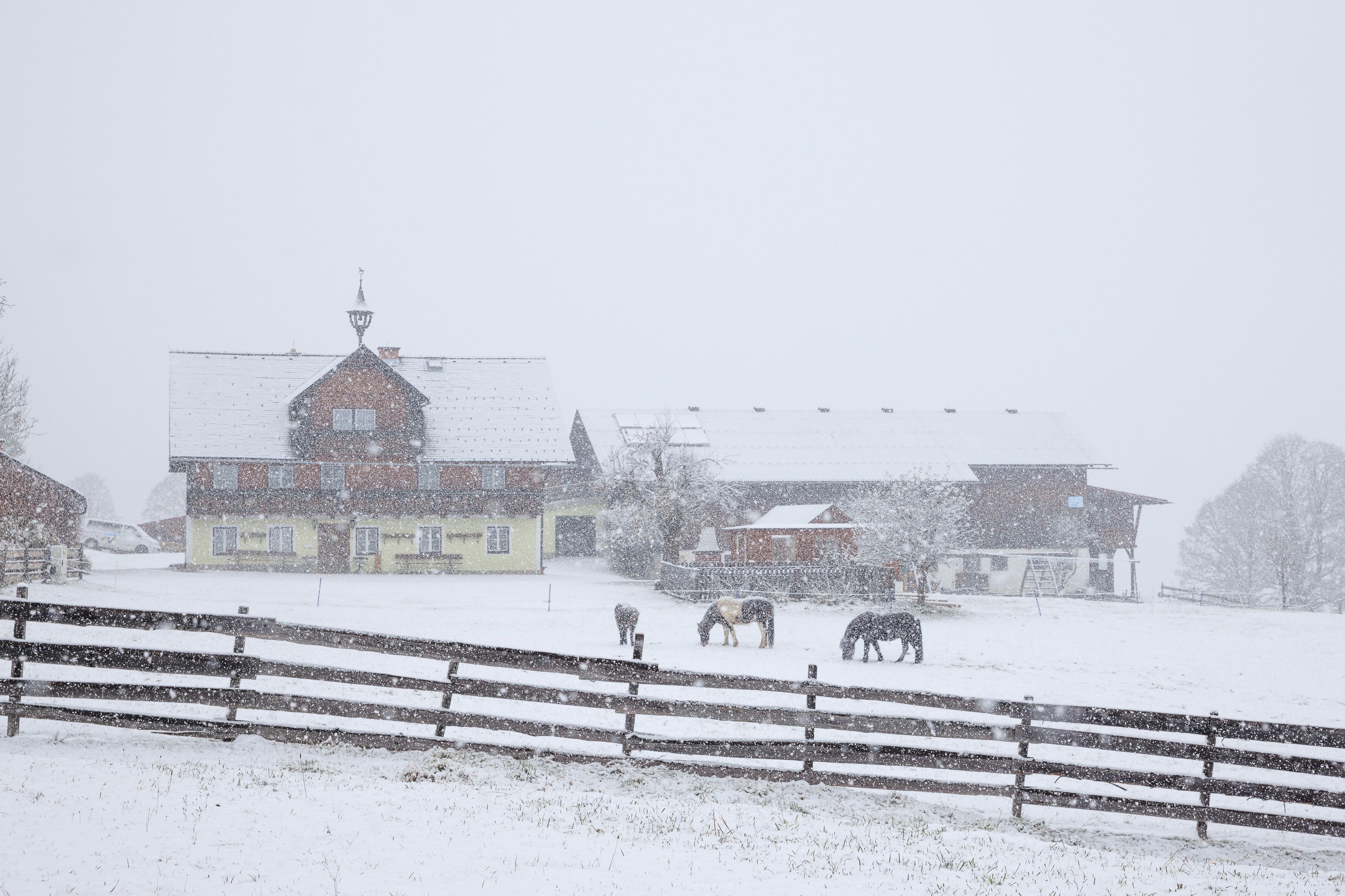 Schnee-Walze Sorgt Für Warnstufe Rot In Österreich | Heute.at