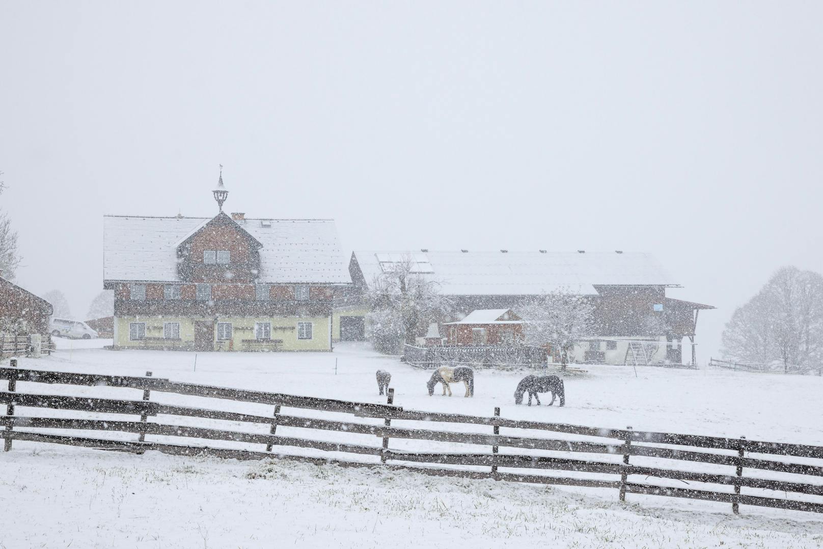 Österreich wird weiß. Wo nun mit besonders heftigen Schneefall zu rechnen ist.&nbsp;