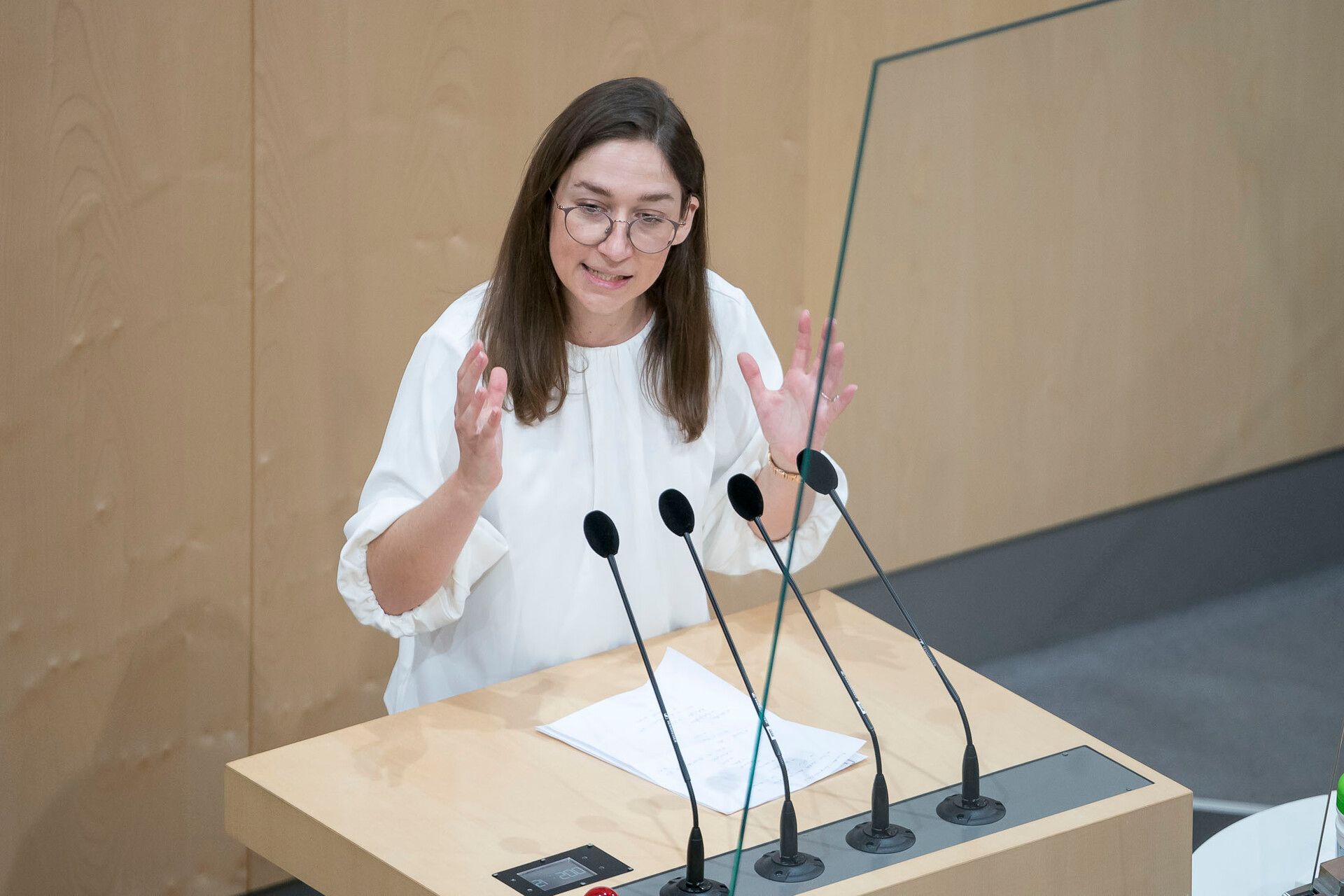 SPÖ-Umweltsprecherin Julia Herr