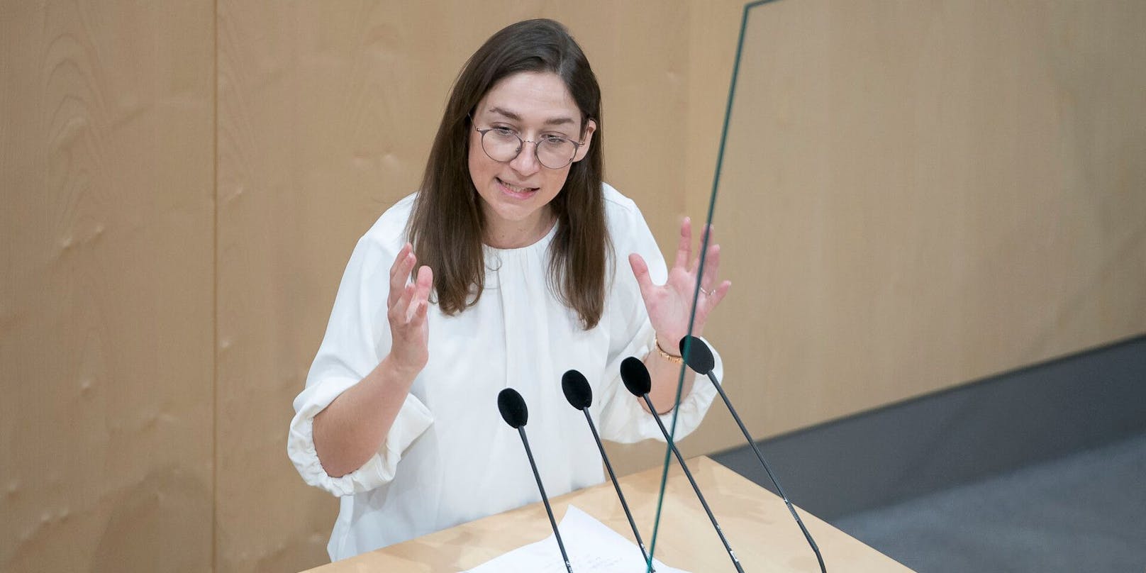 SPÖ-Umweltsprecherin Julia Herr