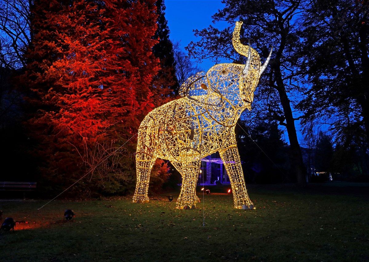 Der LUMAGICA Lichterpark kommt heuer erstmals nach Wien.&nbsp;