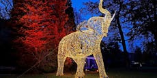 Leuchtende Tiere verzaubern erstmals Besucher in Wien