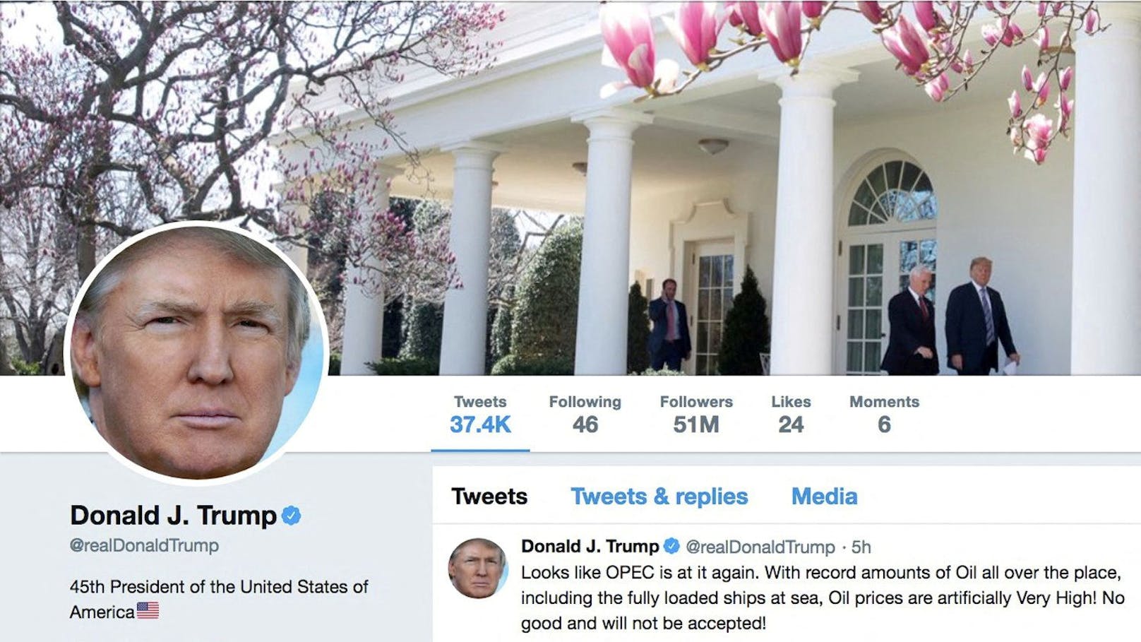 Musk liess mehrere rechte Twitter-Accounts freischalten, die zuvor gesperrt worden waren: Das Profil von Donald Trump.