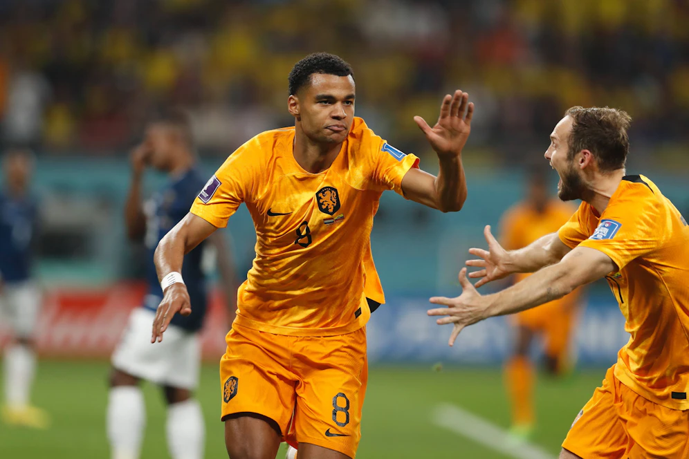 Niederlande-Angreifer Cody Gakpo. 