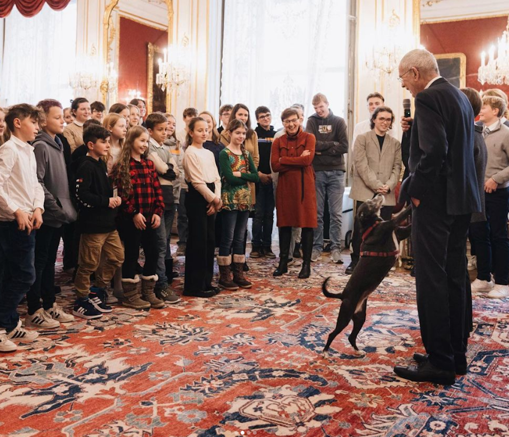 Alexander Van der Bellen war Anfang November an Corona erkrankt. Nun ist er wieder zurück im Büro.