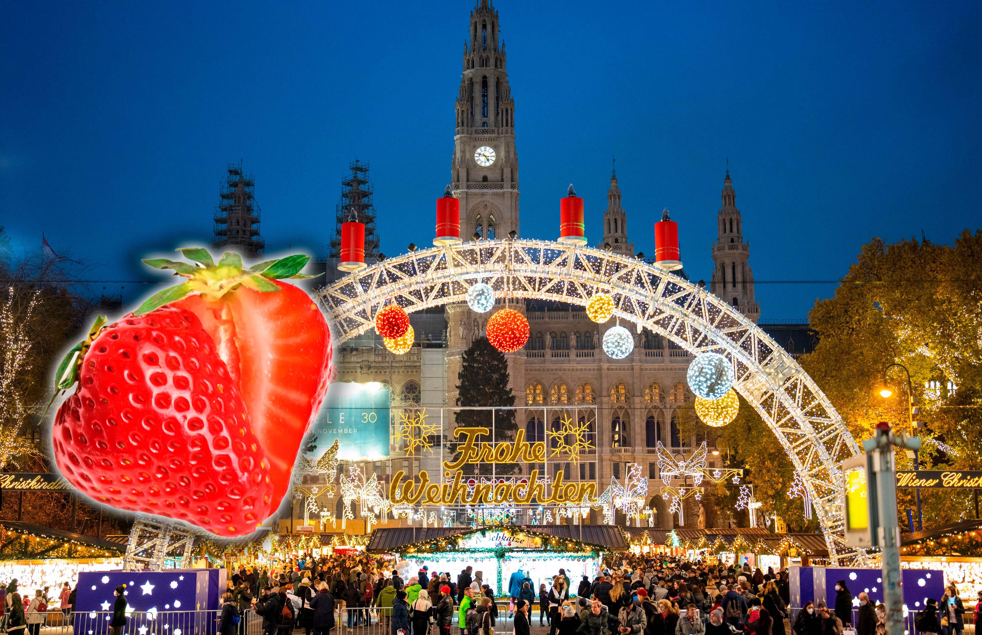Der Christkindlmarkt am Wiener Rathausplatz